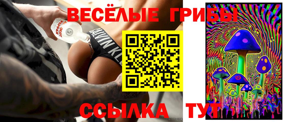 Галлюциногенные грибы прущие грибы Нижний Новгород