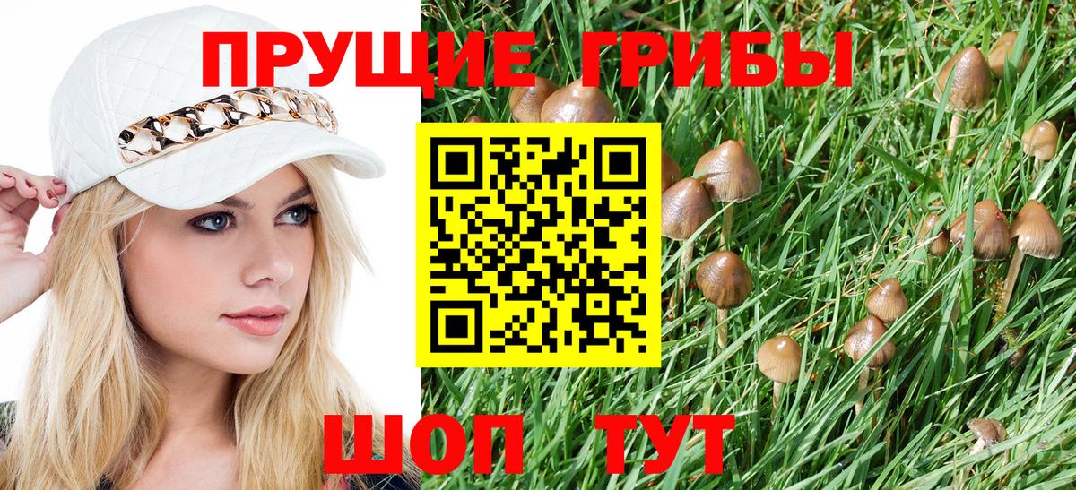Галлюциногенные грибы Cubensis  Вход с VPN  Нижний Новгород 